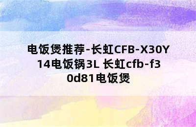 电饭煲推荐-长虹CFB-X30Y14电饭锅3L 长虹cfb-f30d81电饭煲